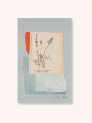Le Sainfoin