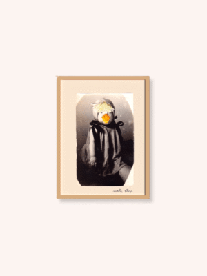 Niño pollito